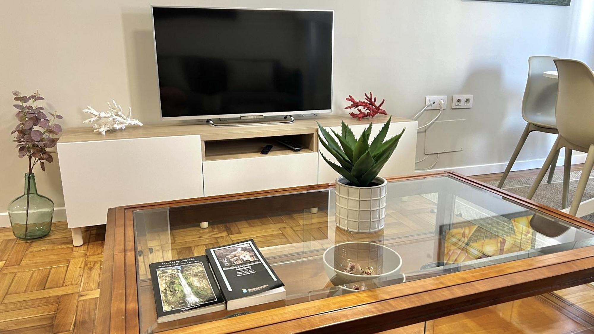 Apartamento Vetusta Nest *